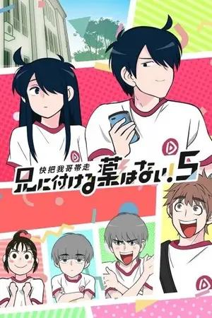 В случае с братом медицина бессильна! [ТВ-5] / Ani ni Tsukeru Kusuri wa Nai! 5